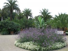 Palmengarten mit riesigen Palmenkübeln, mit Sommerblumenbeeten, Bananenstauden, usw.