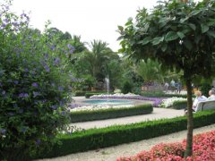 Palmengarten mit blau blühenden Enziansträuchern, Sommerblühern usw, usf