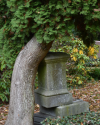 Hauptfriedhof Kassel