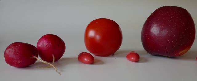 018 Eine Kostprobe aus dem Garten